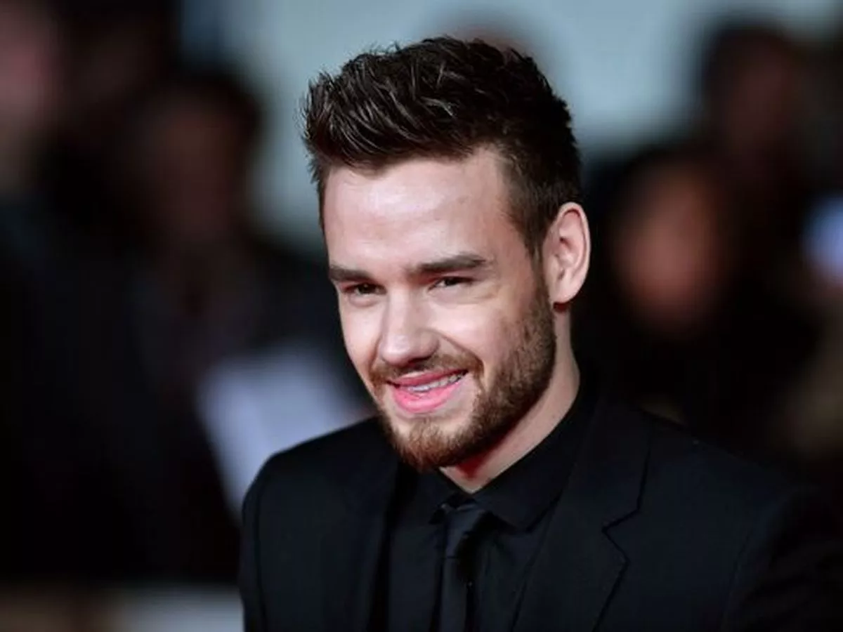 Liam Payne's 'cry for help' was ignored days before his tragic death -  Irish Star