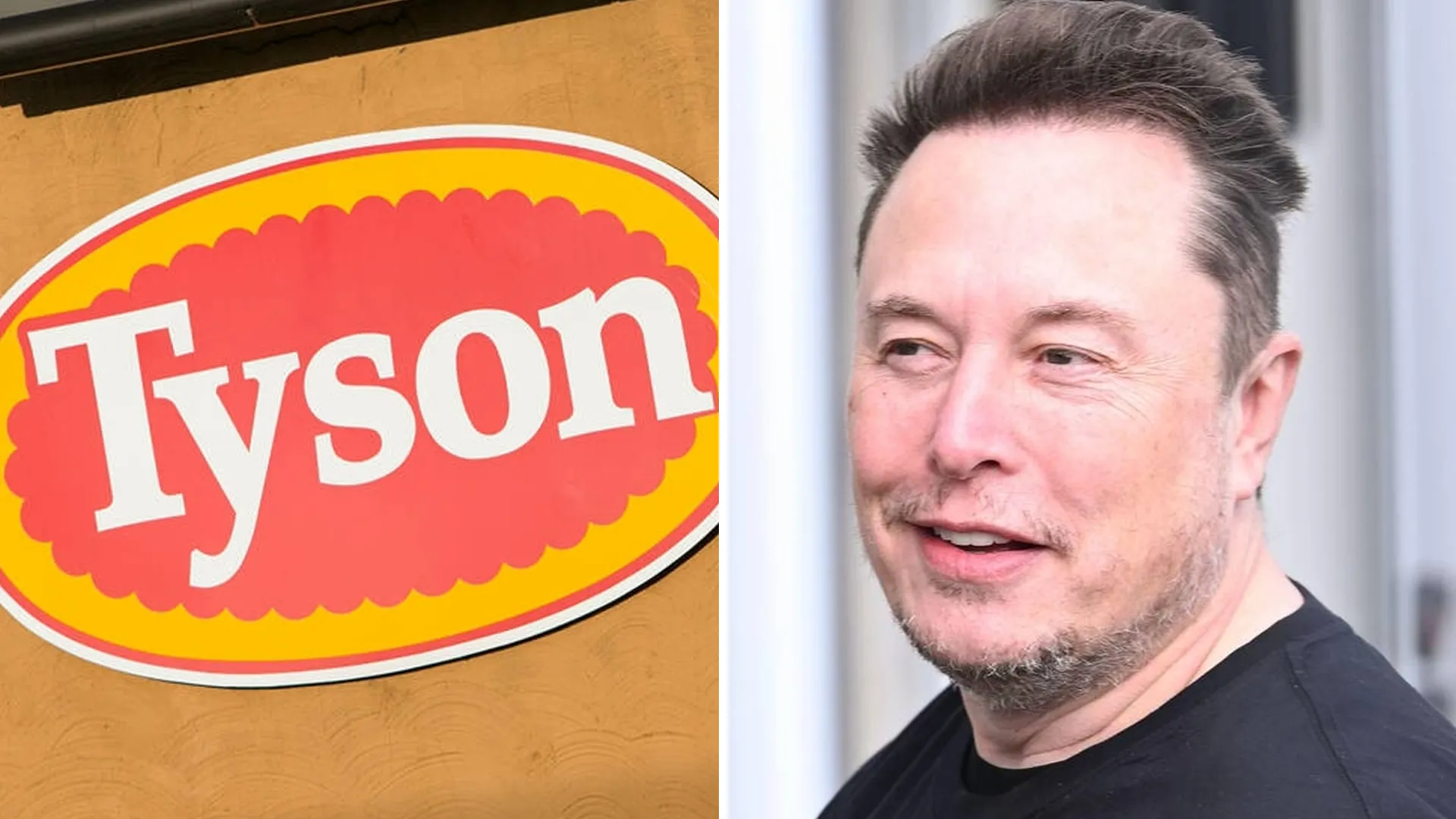 Breaking: Elon Musk Calls for Boycott of Tyson Foods, "I Will Never Buy  From Tyson Foods Ever Again!"