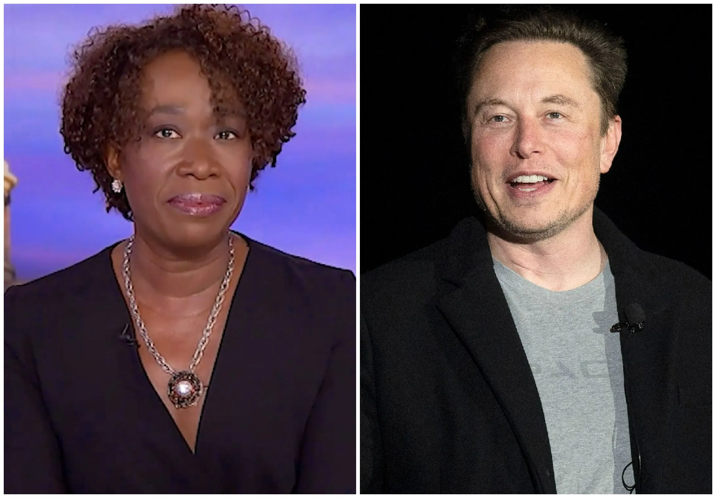 Joy Reid Suggests Elon Musk Bought Twitter Because He Misses Apartheid -  Newsweek