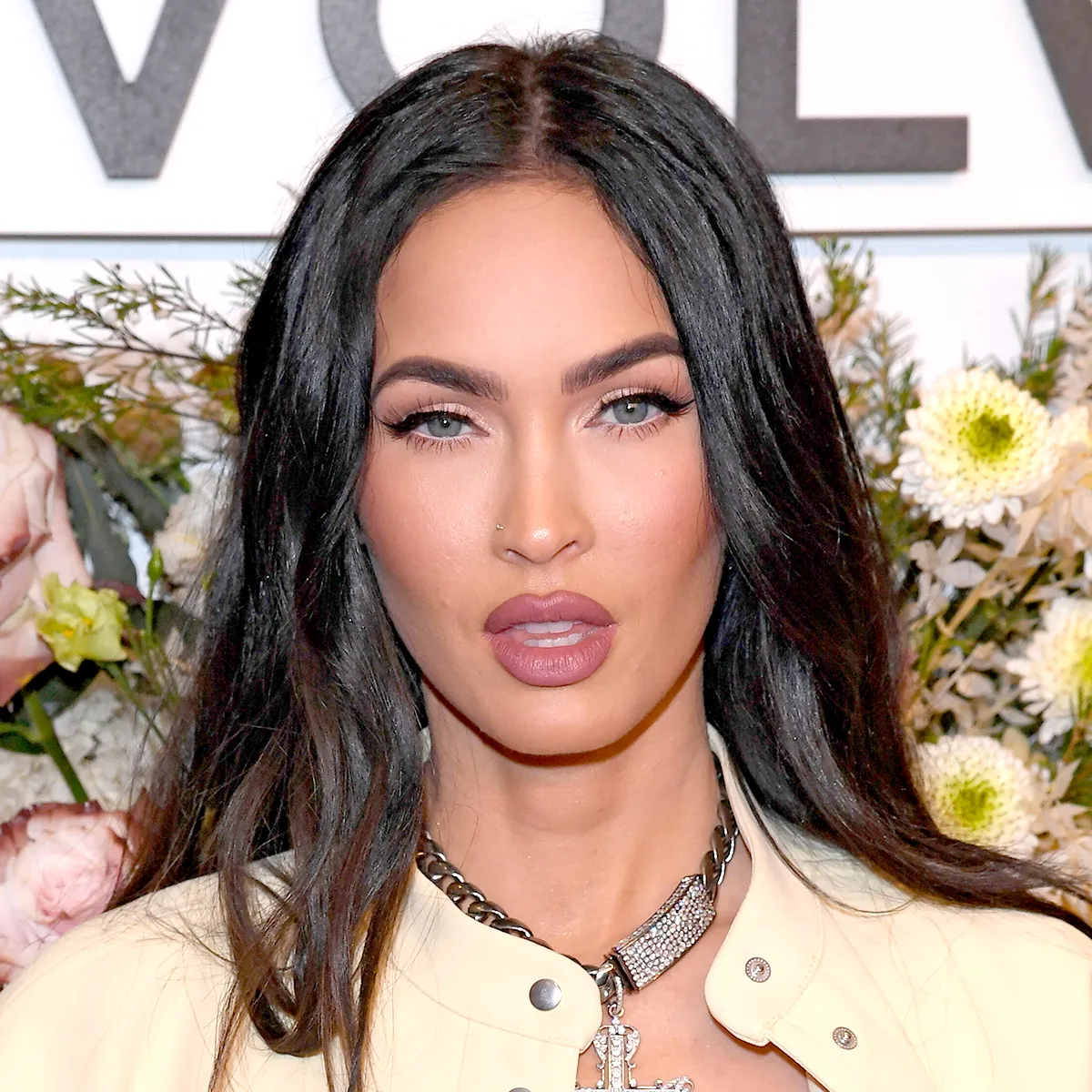 Los fanáticos descontentos con la "cara de Instagram" de Megan Fox después de un informe ...