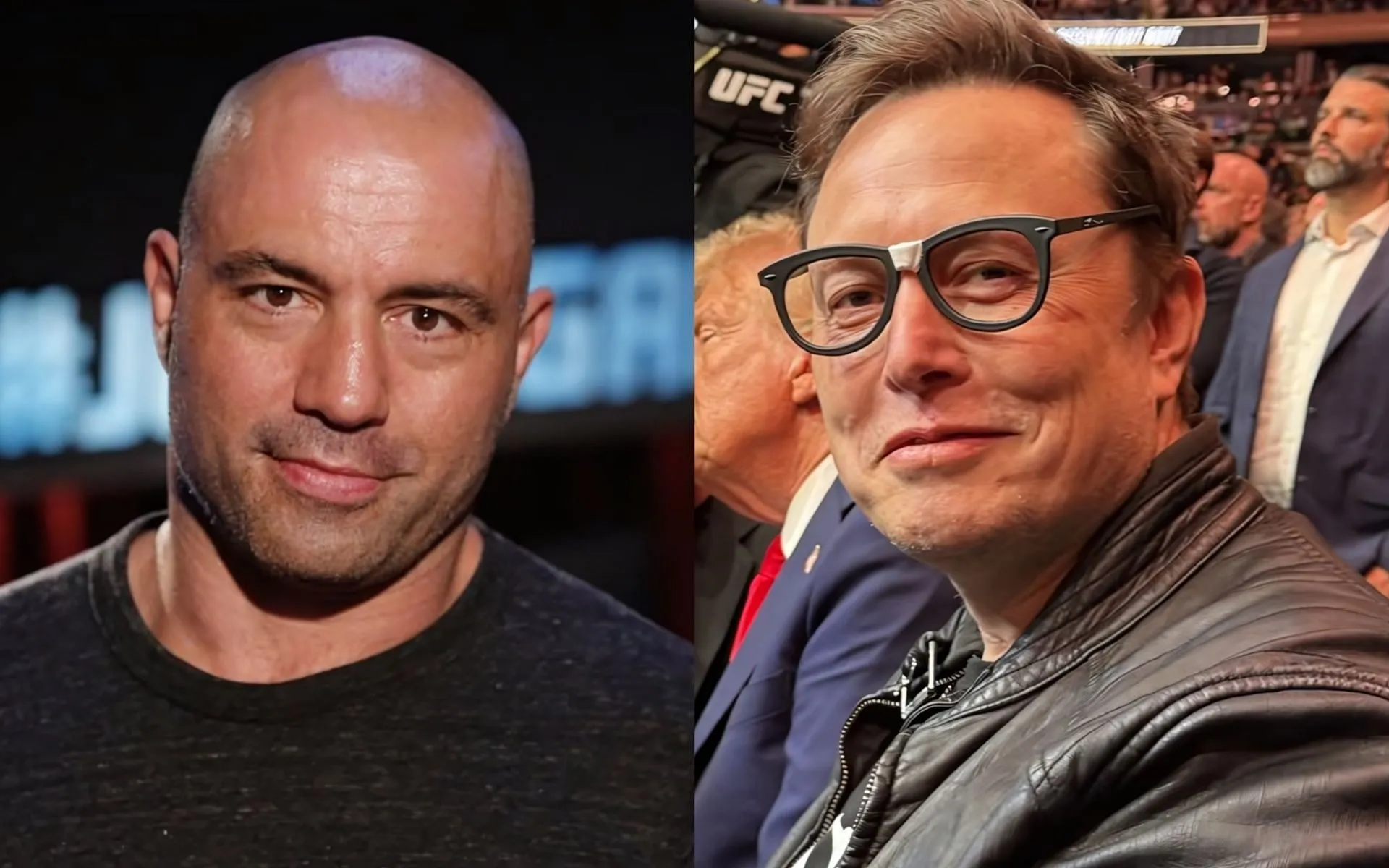 Joe Rogan reacts to Elon Musk hinting at buying MSNBC from $166.34  billion-worth Comcast with one request: "I will wear the same outfit and  glasses"