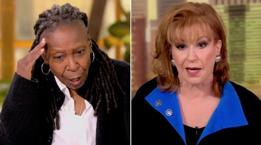 The View' co-hosts Whoopi Goldberg, Joy Behar exasperated with undecided  voters as Election Day approaches | Fox News