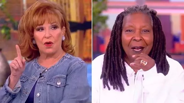 The View's Joy Behar suggests co-host Whoopi Goldberg 'could get her own  dating show' - The Mirror US