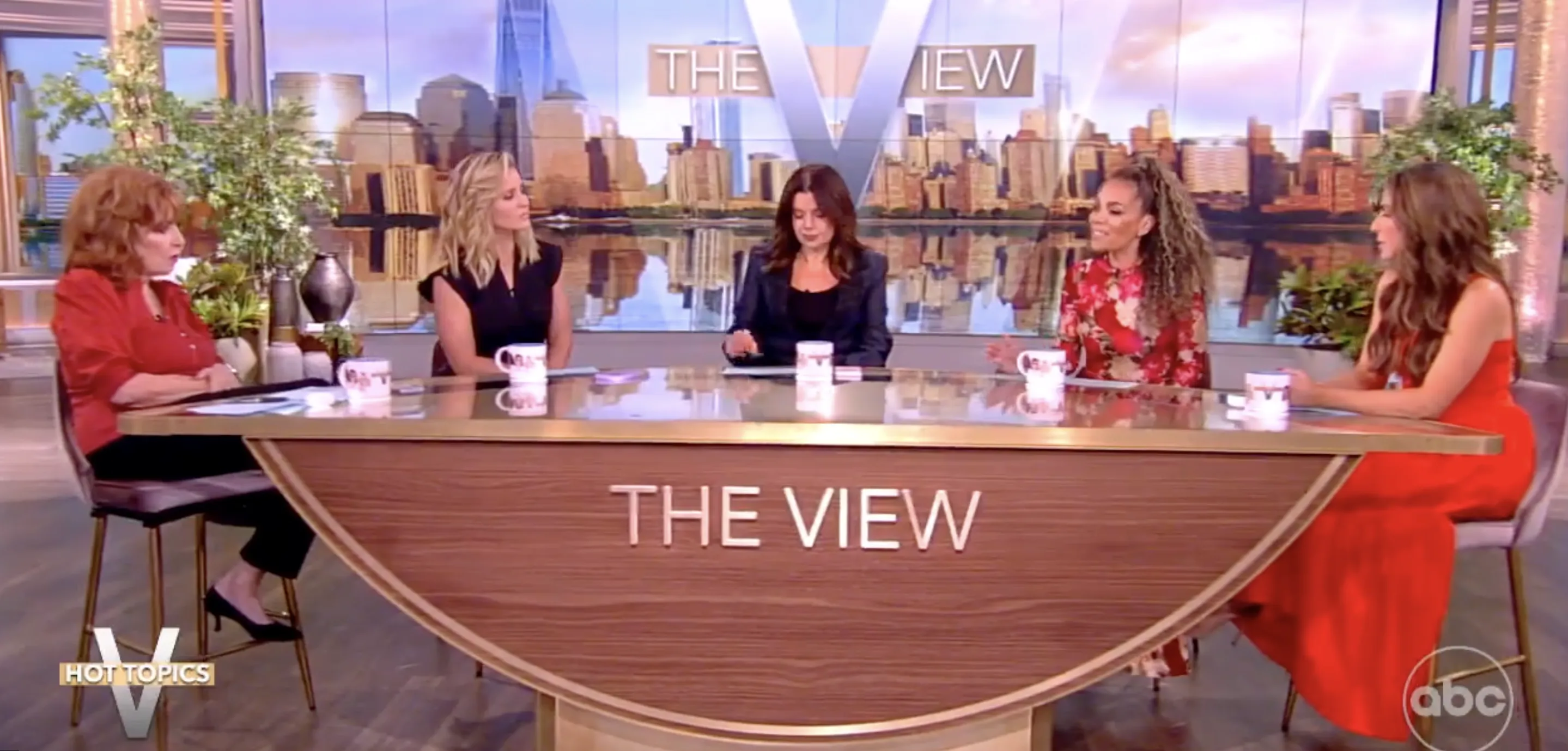 The view sale us tv show