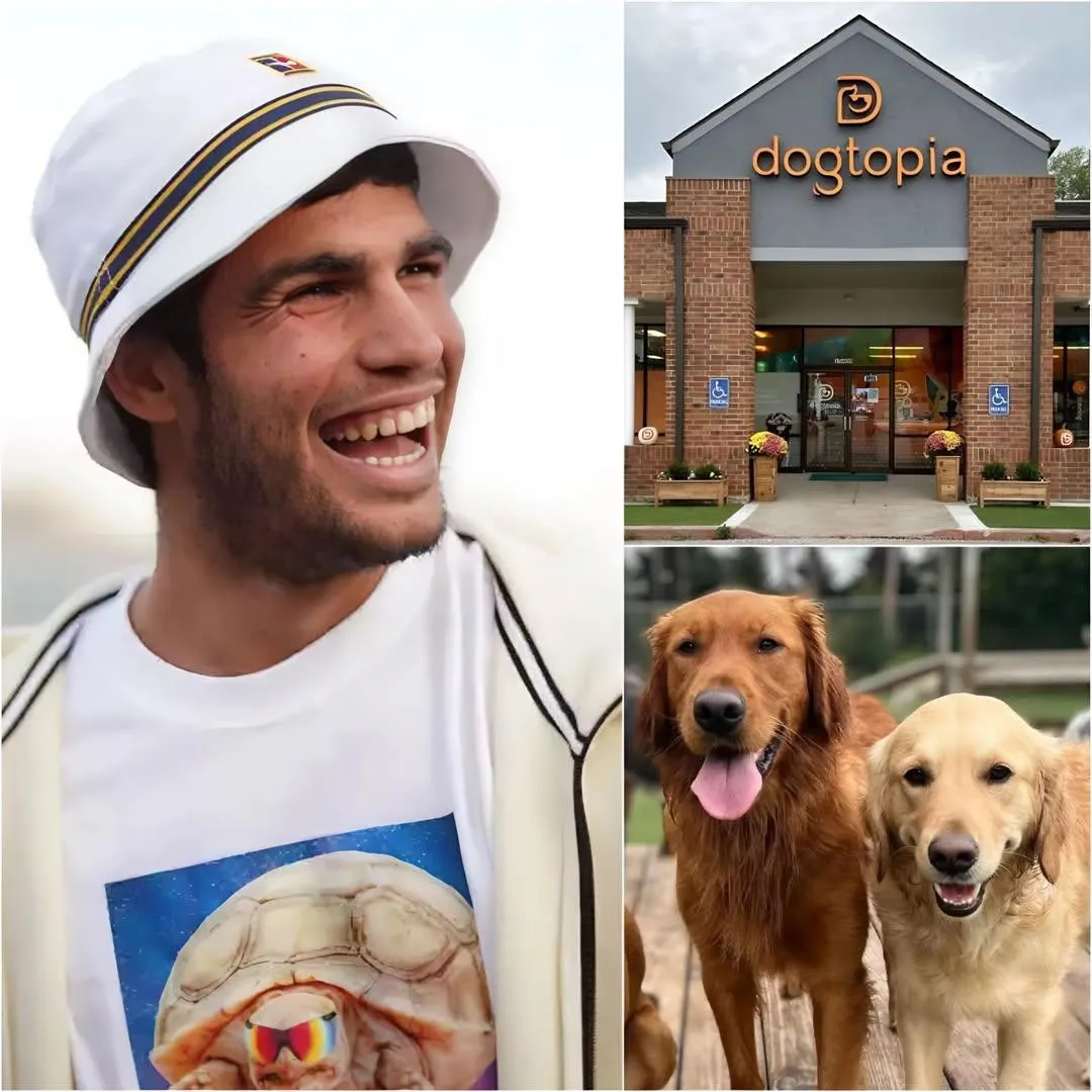 Cover Image for Carlos Alcaraz calls it “Dogtopia” — a vast 15-hectare facility under construction near Bologna, backed by a $5 million investment from him. It’s not just a shelter, but a healing center for abused, abandoned, or traumatized dogs. “We have training fields, water play areas, 24/7 veterinary care — but above all, we have love.” Sinner shared that dogs are not just pets — they’re family. He hopes Dogtopia will become a national model and inspire other athletes to take action