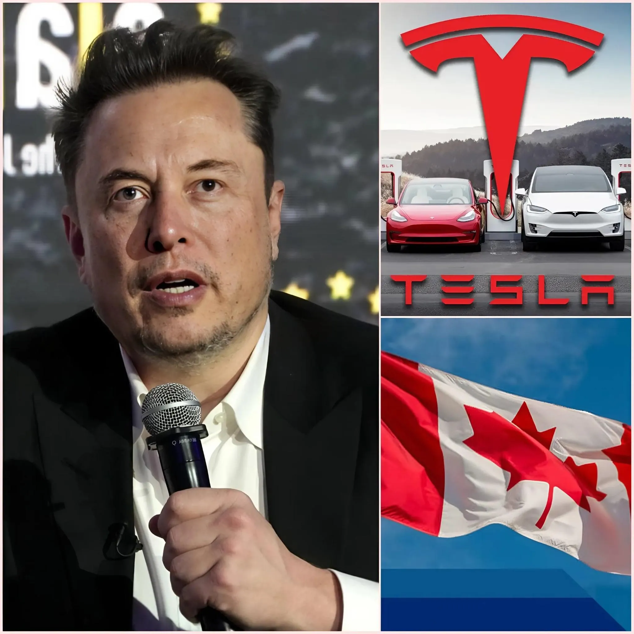 Cover Image for REVELAÇÃO CHOCANTE: O mundo inteiro ficou chocado com a declaração de Elon Musk em apenas 7 palavras sobre uma verdade há muito escondida: “Acho que este é o momento certo para todos saberem!”
